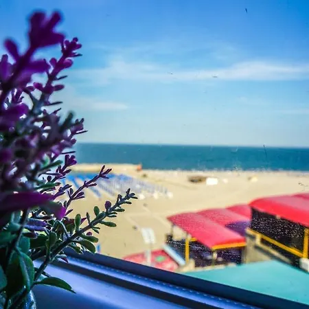 Vila Gladiola Eforie Nord Extérieur photo
